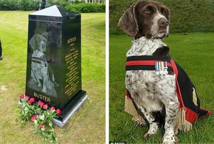 dog memorial waddington